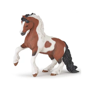 Irish cob ló 51557