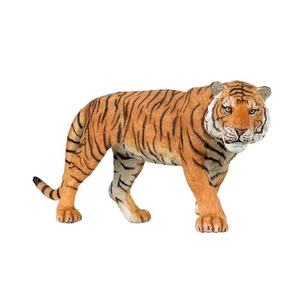 PAPO - Tigris