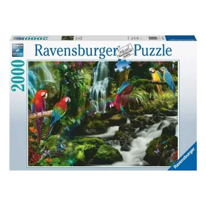 Ravensburger Puzzle 2000 db - Színes papgájok a dzsungelban