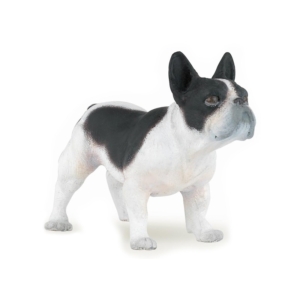 +Fekete-fehér francia bulldog 54005