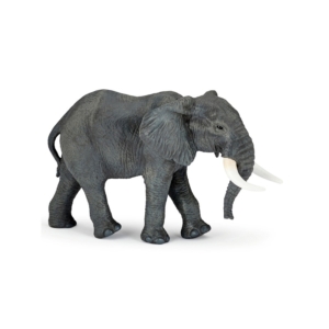 +Nagy afrikai elefánt 50197