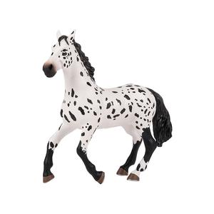 Nagy Appaloosa ló 50198