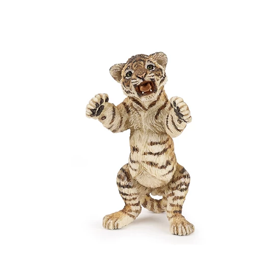 Álló tigris kölyök