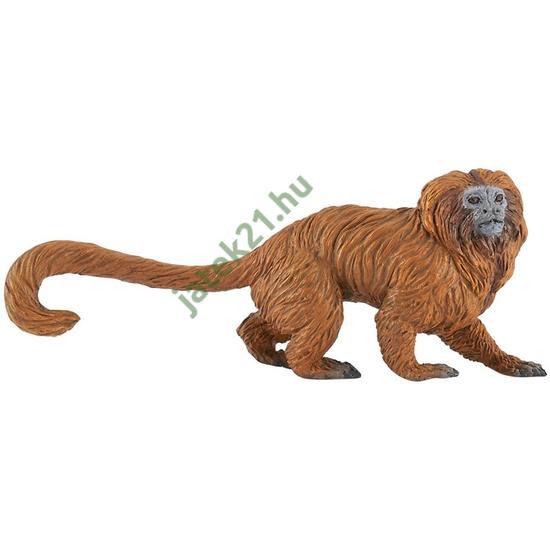 Arany oroszlán tamarin 50226