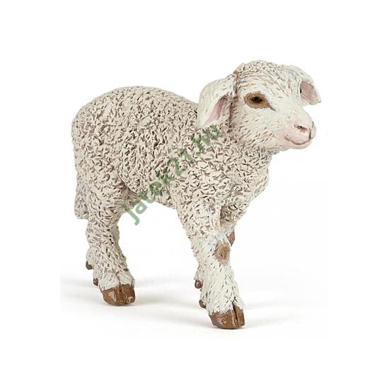 Merino bárány 51175