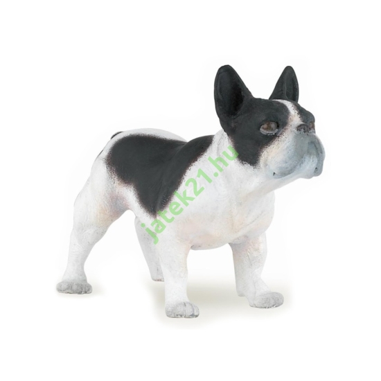 Fekete-fehér francia bulldog 54005