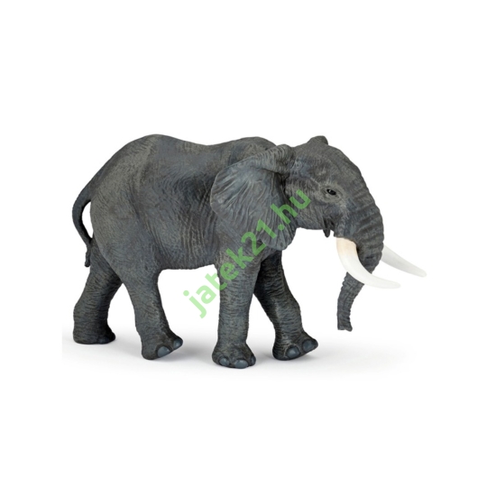 Nagy afrikai elefánt 50197
