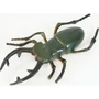 Kép 3/6 - Sipoló rovarok vegyesen 8".H9814W