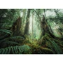 Kép 2/2 - Ravensburger Puzzle 1000 db - Fák