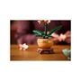 Kép 5/6 - LEGO Botanicals 10343 Mini orchidea