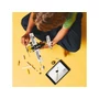 Kép 4/5 - LEGO Technic 42198 Kisrepülő
