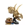 Kép 3/5 - LEGO Jurassic World 76969 Dinómaradványok: triceratops-koponya